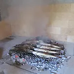 Guest Grozdanic Dubravice