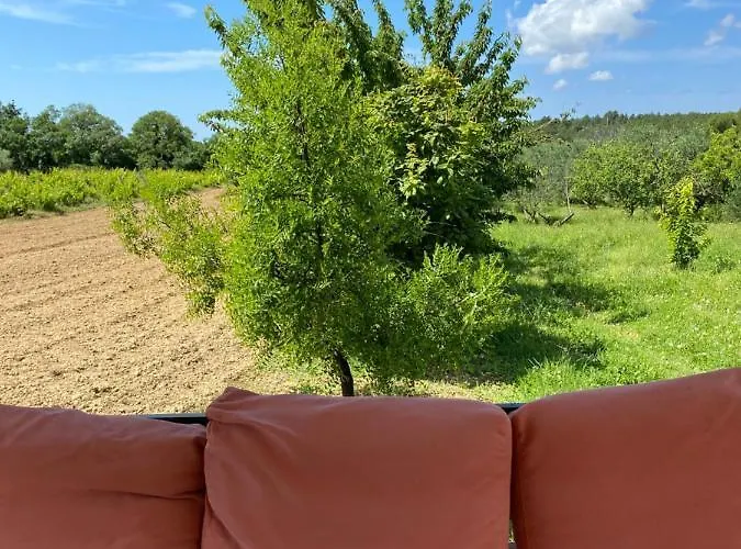 Guest Grozdanic Apartment