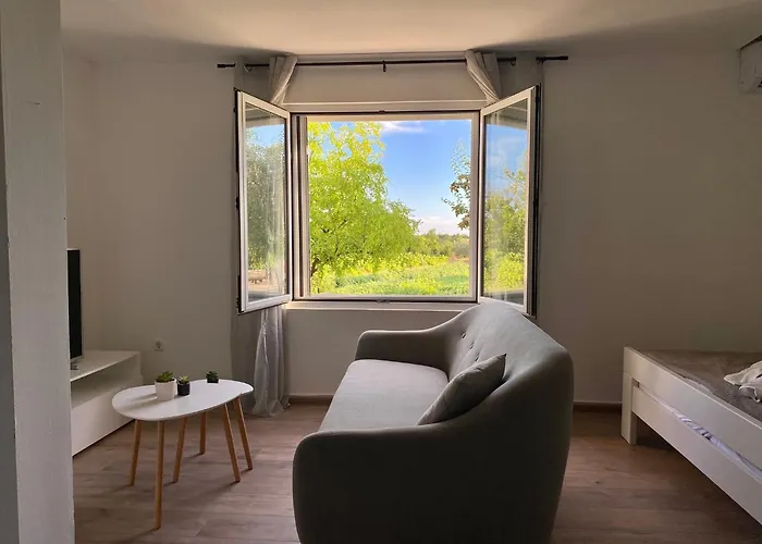 Guest Grozdanic * Dubravice