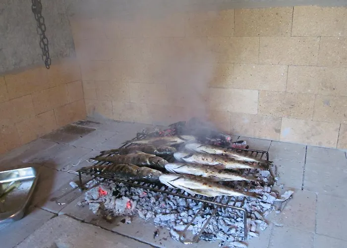 Guest Grozdanic Dubravice