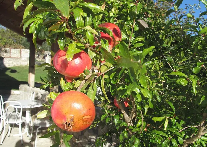 Apartment Guest Grozdanic Dubravice