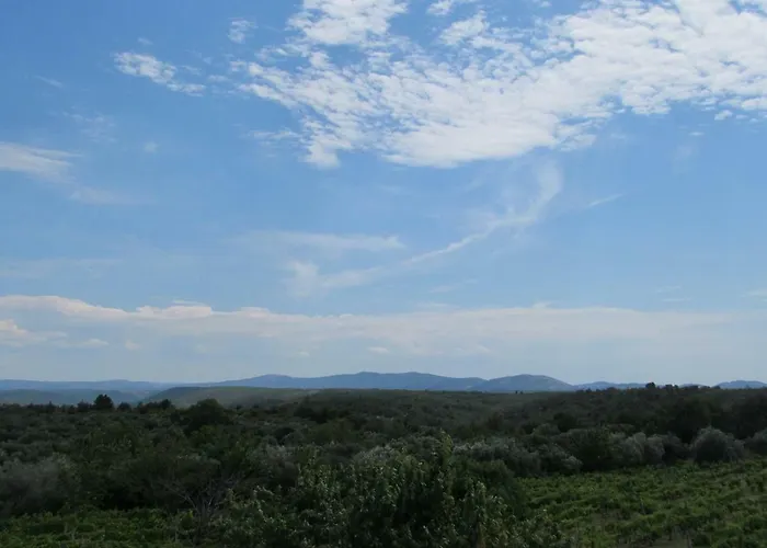 Apartment Guest Grozdanic